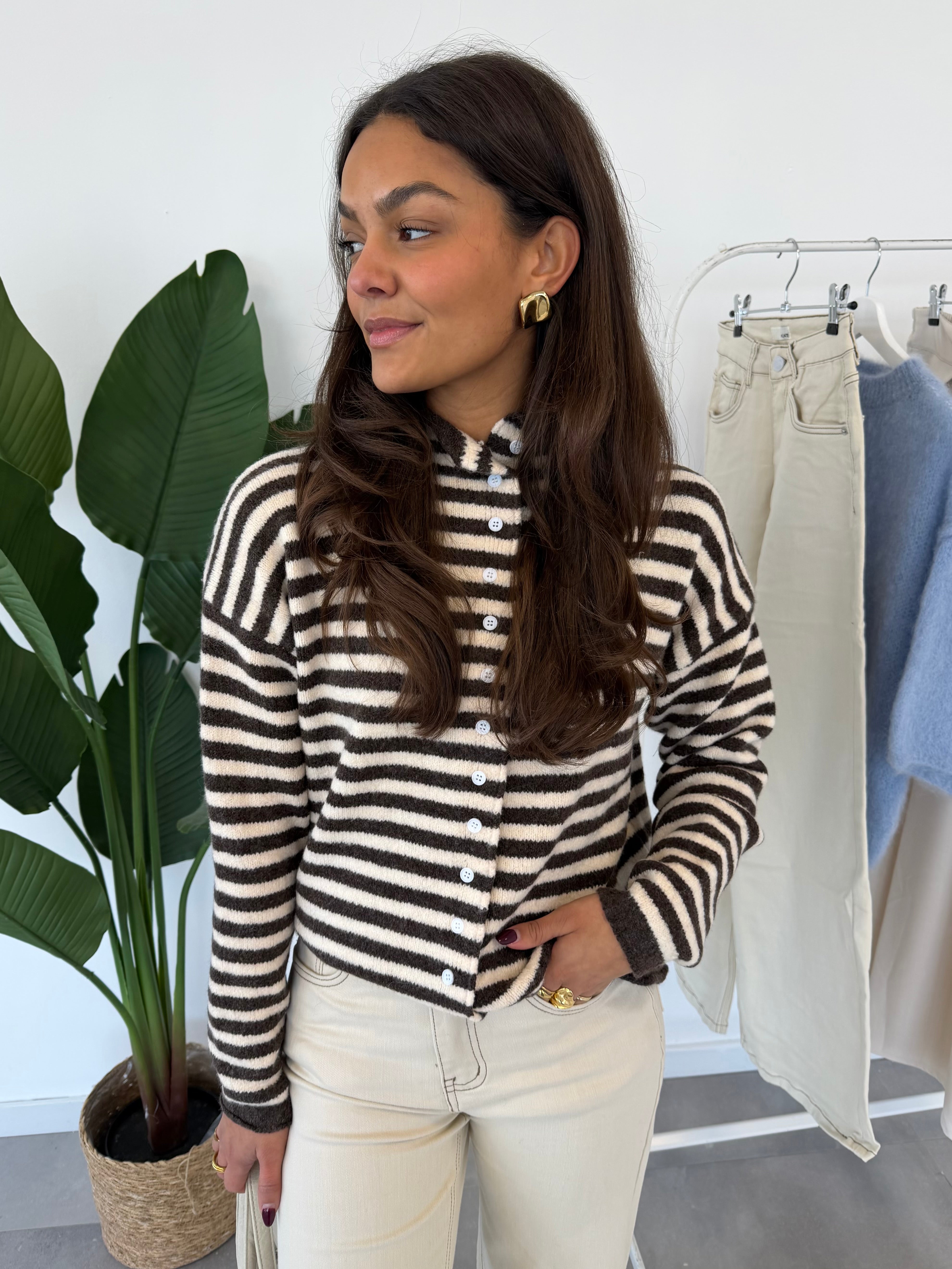 Nolita vestje – gestreept damesvest met knoopsluiting, vooraanzicht in bruin en crème